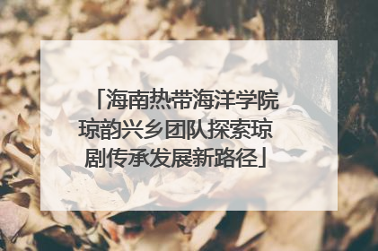 海南热带海洋学院琼韵兴乡团队探索琼剧传承发展新路径