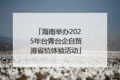 海南举办2025年台青台企自贸港省情体验活动