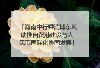 海南中行乘消博东风 助推自贸港建设与人民币国际化协同发展