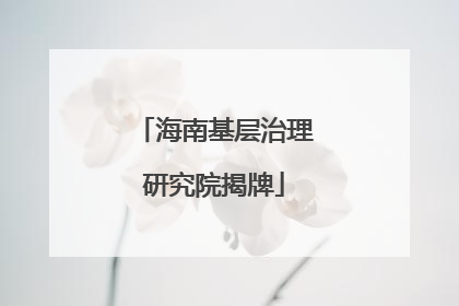 海南基层治理研究院揭牌