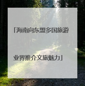 海南向东盟多国旅游业界推介文旅魅力