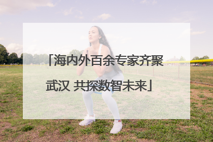 海内外百余专家齐聚武汉 共探数智未来