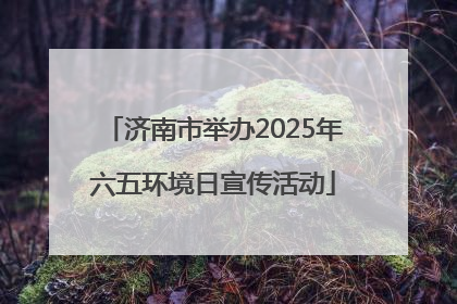济南市举办2025年六五环境日宣传活动