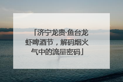 济宁龙贵·鱼台龙虾啤酒节，解码烟火气中的流量密码