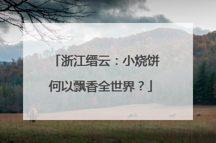 浙江缙云：小烧饼何以飘香全世界？