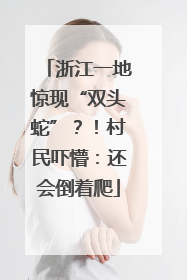 浙江一地惊现“双头蛇”？！村民吓懵：还会倒着爬
