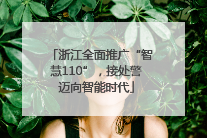 浙江全面推广“智慧110”，接处警迈向智能时代