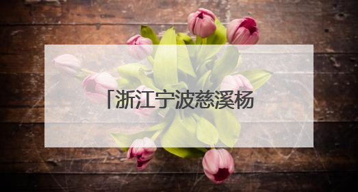 浙江宁波慈溪杨梅迎采摘旺季
