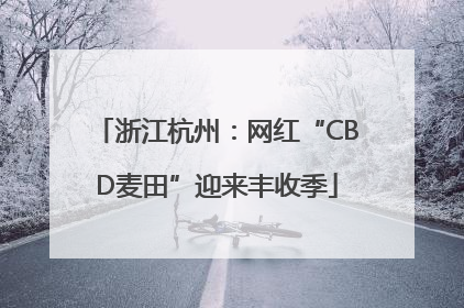 浙江杭州：网红“CBD麦田”迎来丰收季