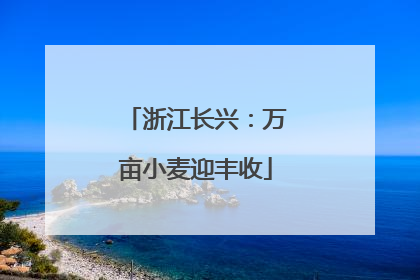 浙江长兴：万亩小麦迎丰收