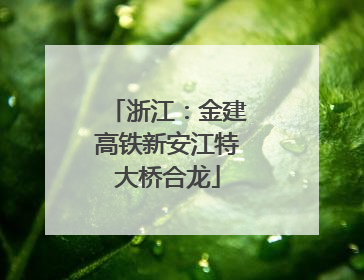 浙江：金建高铁新安江特大桥合龙