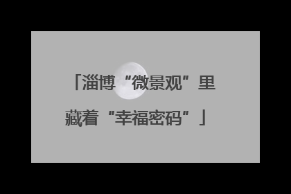 淄博“微景观”里藏着“幸福密码”