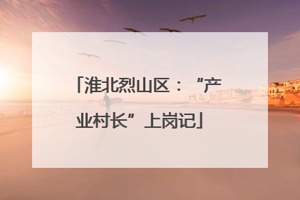 淮北烈山区：“产业村长”上岗记