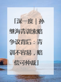 深一度｜孙继海青训索赔争议背后：青训不容易，赔偿可仲裁