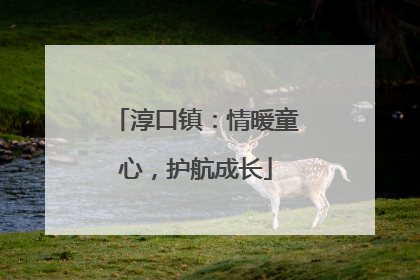 淳口镇：情暖童心，护航成长
