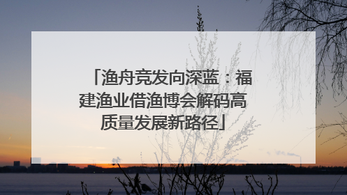 渔舟竞发向深蓝：福建渔业借渔博会解码高质量发展新路径