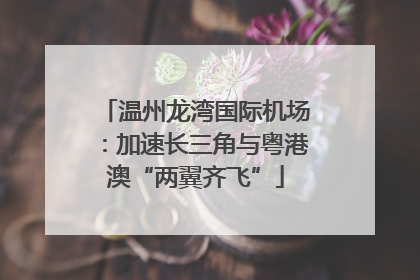 温州龙湾国际机场：加速长三角与粤港澳“两翼齐飞”