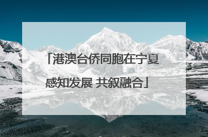 港澳台侨同胞在宁夏感知发展 共叙融合