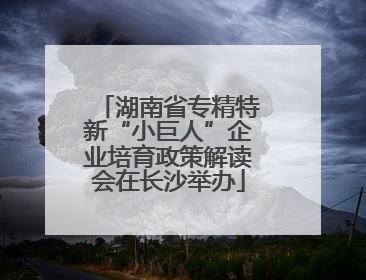 湖南省专精特新“小巨人”企业培育政策解读会在长沙举办