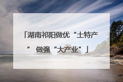 湖南祁阳做优“土特产” 做强“大产业”