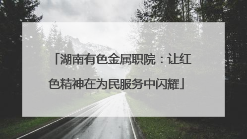 湖南有色金属职院：让红色精神在为民服务中闪耀