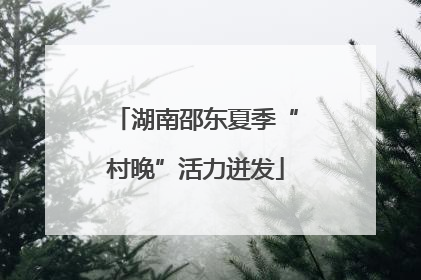 湖南邵东夏季“村晚”活力迸发