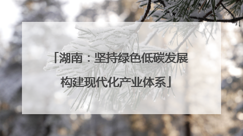 湖南：坚持绿色低碳发展 构建现代化产业体系