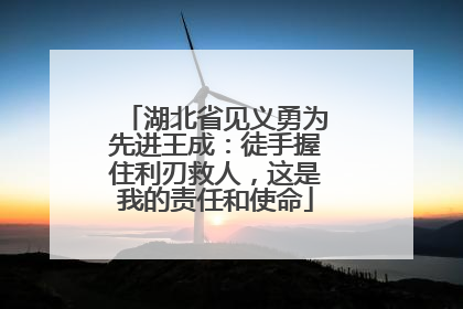 湖北省见义勇为先进王成：徒手握住利刃救人，这是我的责任和使命