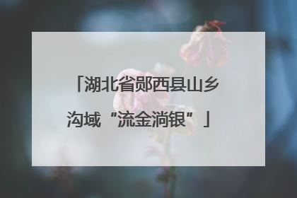湖北省郧西县山乡沟域“流金淌银”