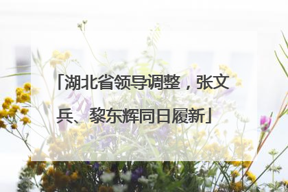 湖北省领导调整，张文兵、黎东辉同日履新
