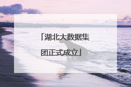 湖北大数据集团正式成立