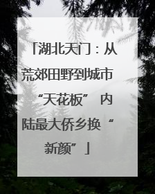 湖北天门：从荒郊田野到城市“天花板” 内陆最大侨乡换“新颜”
