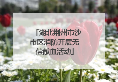 湖北荆州市沙市区消防开展无偿献血活动