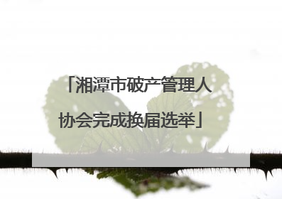 湘潭市破产管理人协会完成换届选举