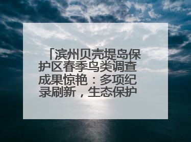 滨州贝壳堤岛保护区春季鸟类调查成果惊艳：多项纪录刷新，生态保护成效显著