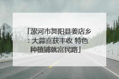 漯河市舞阳县姜店乡：大蒜喜获丰收 特色种植铺就富民路