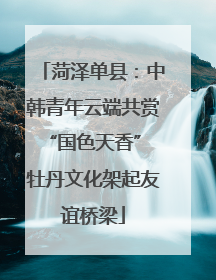 菏泽单县：中韩青年云端共赏“国色天香” 牡丹文化架起友谊桥梁