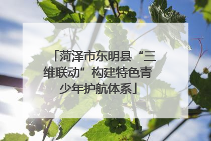 菏泽市东明县“三维联动”构建特色青少年护航体系
