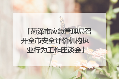 菏泽市应急管理局召开全市安全评价机构执业行为工作座谈会