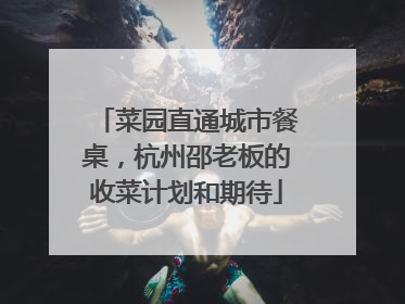 菜园直通城市餐桌，杭州邵老板的收菜计划和期待