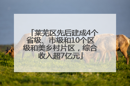 莱芜区先后建成4个省级、市级和10个区级和美乡村片区，综合收入超7亿元