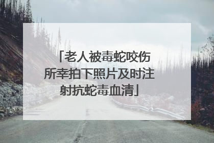 老人被毒蛇咬伤 所幸拍下照片及时注射抗蛇毒血清