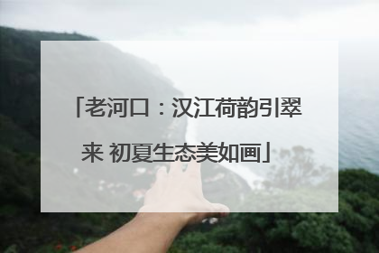 老河口：汉江荷韵引翠来 初夏生态美如画