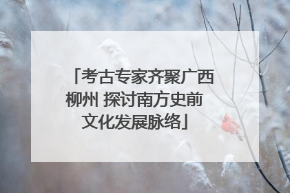 考古专家齐聚广西柳州 探讨南方史前文化发展脉络
