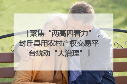 聚焦“两高四着力”，封丘县用农村产权交易平台撬动“大治理”
