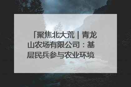 聚焦北大荒｜青龙山农场有限公司：基层民兵参与农业环境综合治理显效