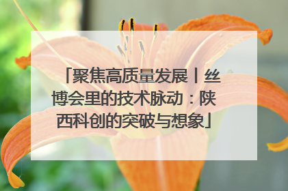 聚焦高质量发展丨丝博会里的技术脉动：陕西科创的突破与想象