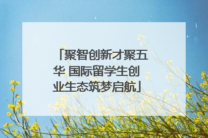 聚智创新才聚五华 国际留学生创业生态筑梦启航