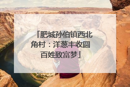 肥城孙伯镇西北角村：洋葱丰收圆百姓致富梦