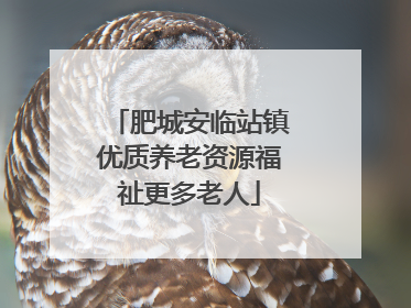 肥城安临站镇优质养老资源福祉更多老人